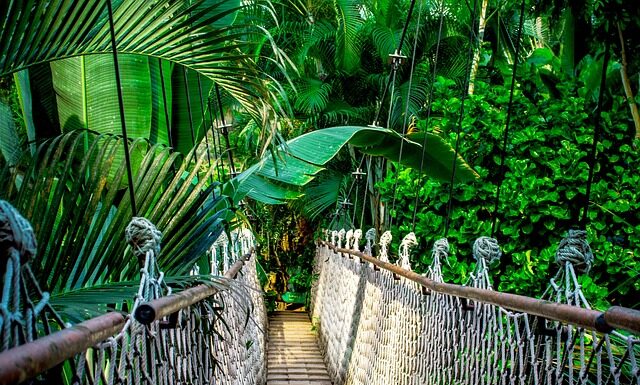 Jaki kurs do pracy w IT? Jaki kurs do pracy w IT?