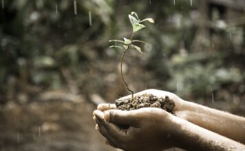 Skąd pozyskać środki na rozwój firmy? Skąd pozyskać środki na rozwój firmy?